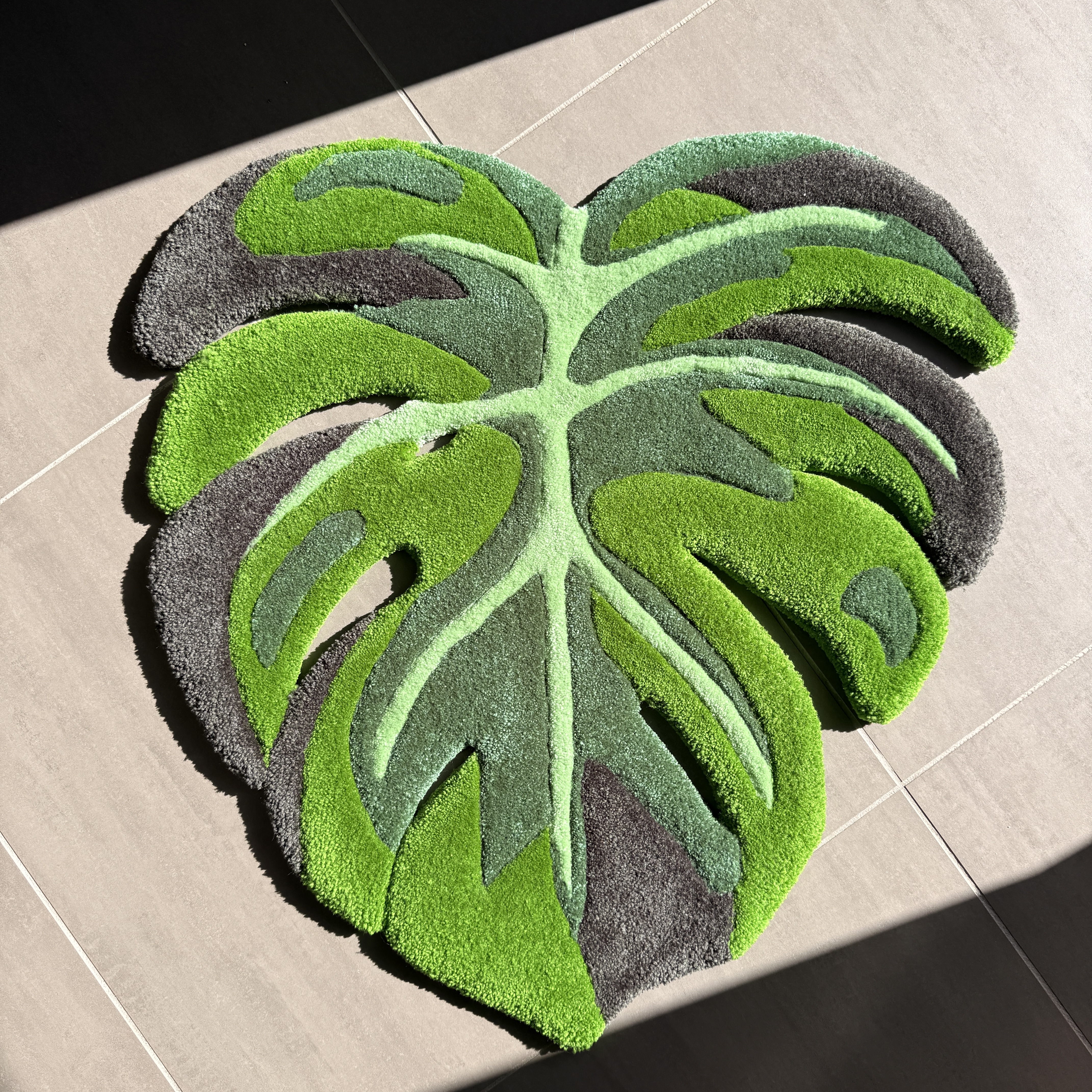 Monstera